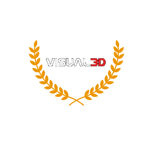 בניית אתרים לחברת Visual 3D